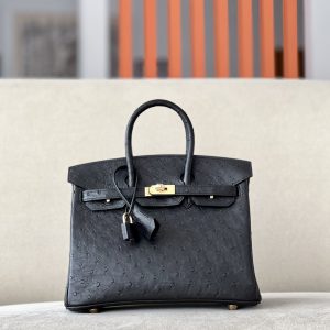 Birkin 25 Ostrich Nior(89) Gold Hardware