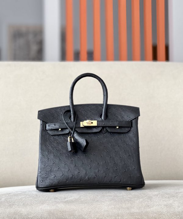 Birkin 25 Ostrich Nior(89) Gold Hardware