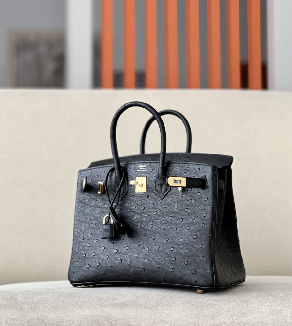 Birkin 25 Ostrich Nior(89) Gold Hardware - Image 3