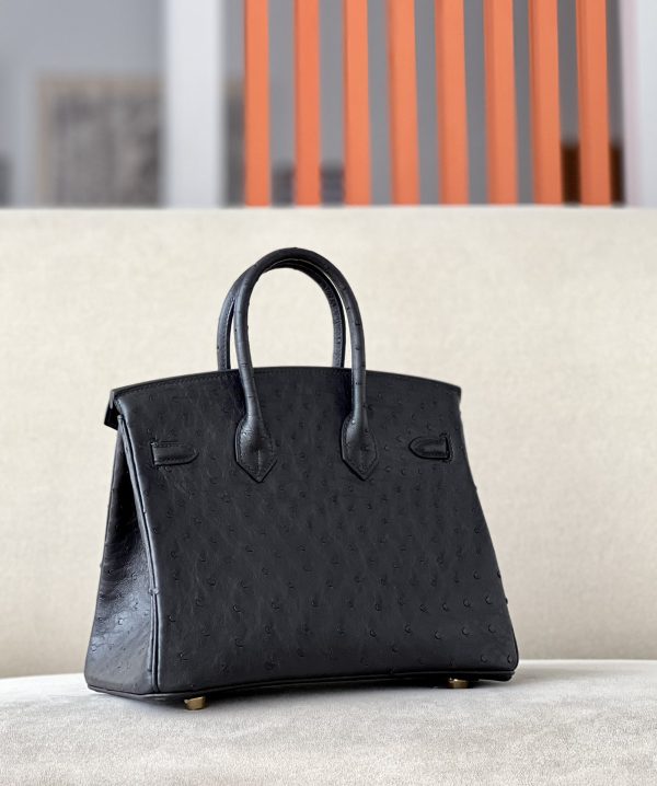 Birkin 25 Ostrich Nior(89) Gold Hardware - Image 2