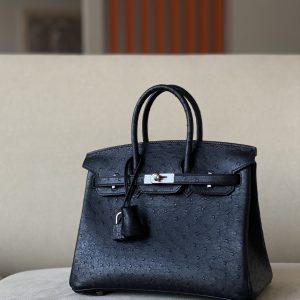 Birkin 25 Ostrich Nior(89) Palladium Hardware