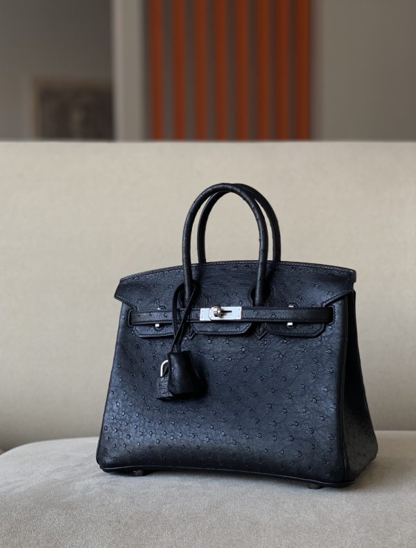 Birkin 25 Ostrich Nior(89) Palladium Hardware