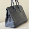 Birkin 25 Ostrich Nior(89) Palladium Hardware - Image 4