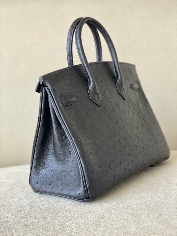 Birkin 25 Ostrich Nior(89) Palladium Hardware - Image 4