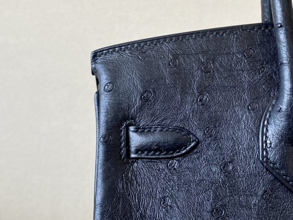 Birkin 25 Ostrich Nior(89) Palladium Hardware - Image 11