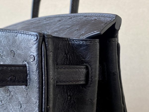 Birkin 25 Ostrich Nior(89) Palladium Hardware - Image 9