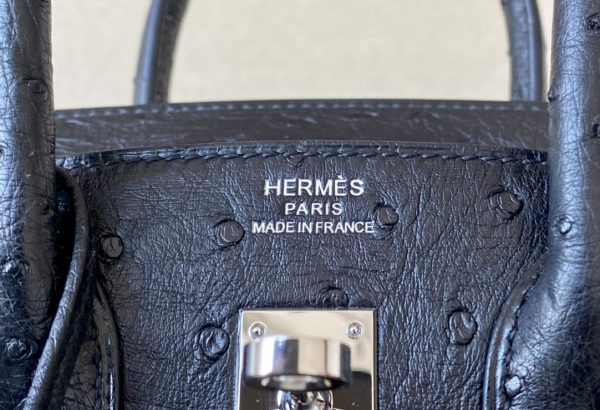 Birkin 25 Ostrich Nior(89) Palladium Hardware - Image 8
