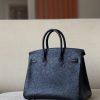 Birkin 25 Ostrich Nior(89) Palladium Hardware - Image 3