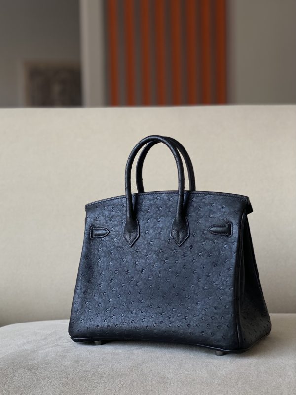Birkin 25 Ostrich Nior(89) Palladium Hardware - Image 3