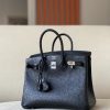 Birkin 25 Ostrich Nior(89) Palladium Hardware - Image 2