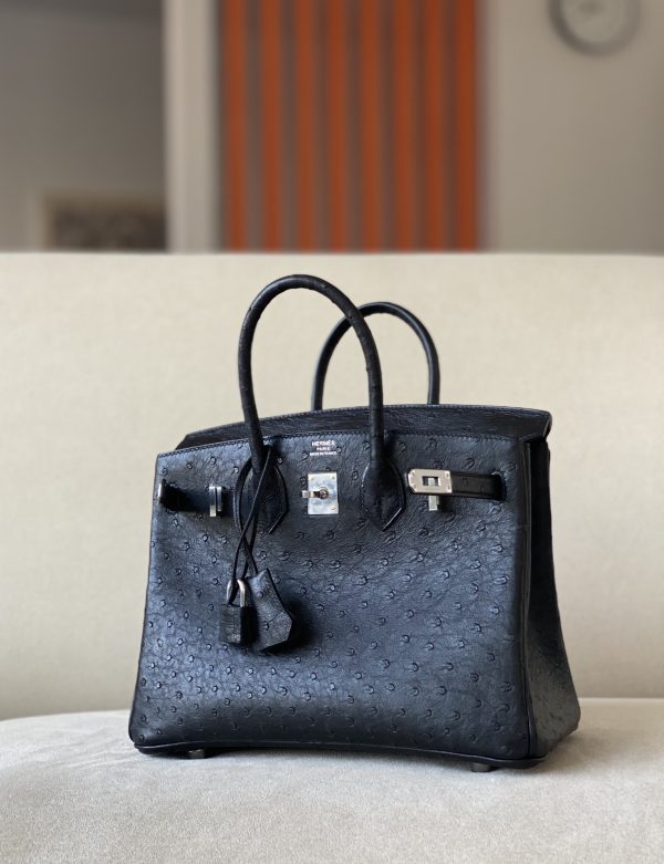 Birkin 25 Ostrich Nior(89) Palladium Hardware - Image 2