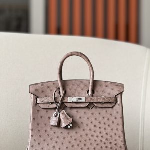 Birkin 25 Ostrich Gris Tourterelle(81) Palladium Hardware