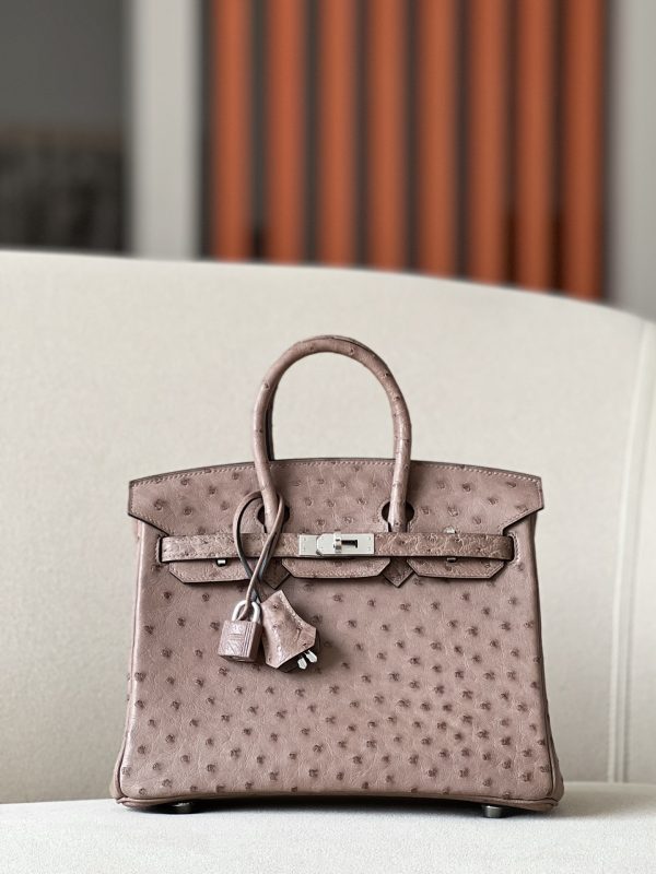 Birkin 25 Ostrich Gris Tourterelle(81) Palladium Hardware