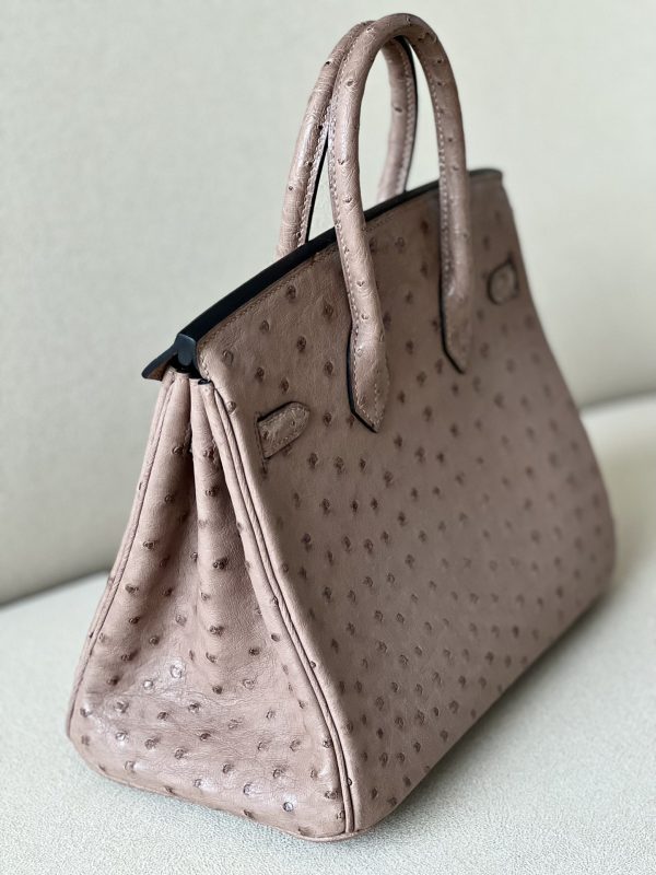 Birkin 25 Ostrich Gris Tourterelle(81) Palladium Hardware - Image 5