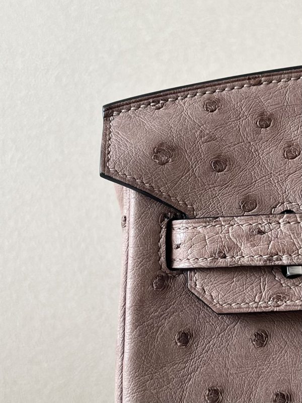 Birkin 25 Ostrich Gris Tourterelle(81) Palladium Hardware - Image 11