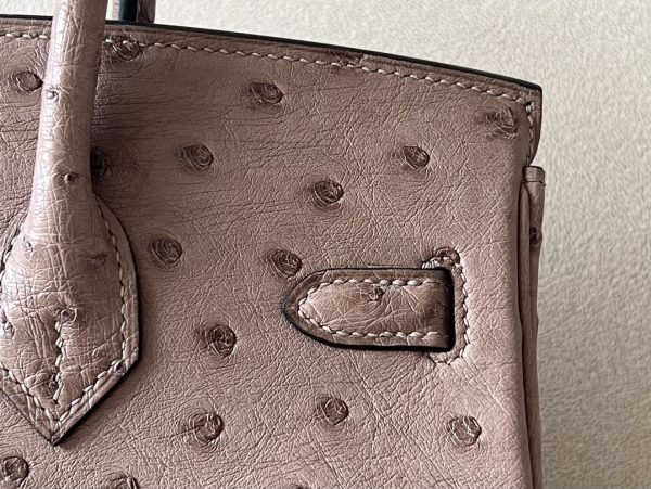 Birkin 25 Ostrich Gris Tourterelle(81) Palladium Hardware - Image 10