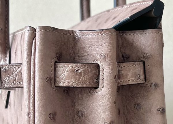 Birkin 25 Ostrich Gris Tourterelle(81) Palladium Hardware - Image 8