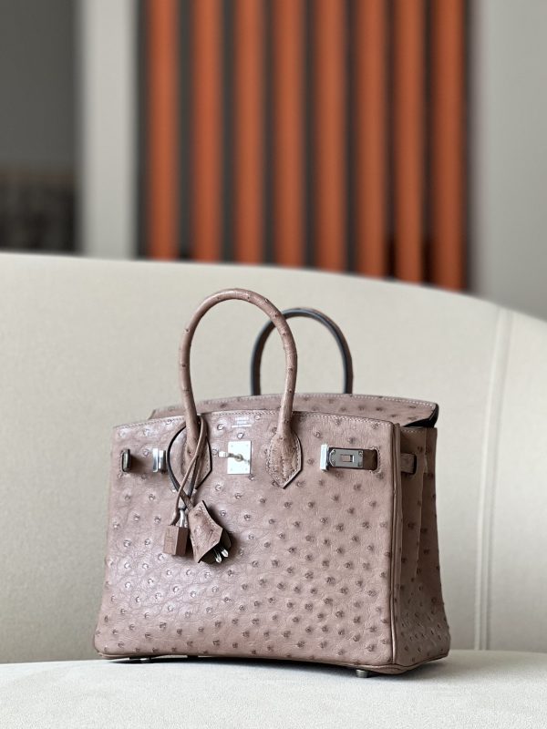 Birkin 25 Ostrich Gris Tourterelle(81) Palladium Hardware - Image 2