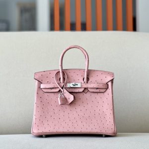 Birkin 25 Ostrich Terre Cuite(94)Palladium Hardware
