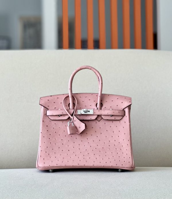 Birkin 25 Ostrich Terre Cuite(94)Palladium Hardware