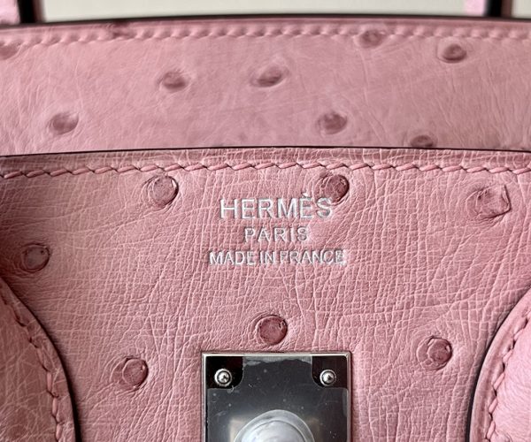 Birkin 25 Ostrich Terre Cuite(94)Palladium Hardware - Image 10