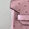 Birkin 25 Ostrich Terre Cuite(94)Palladium Hardware - Image 9