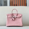 Birkin 25 Ostrich Terre Cuite(94)Palladium Hardware - Image 4