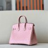 Birkin 25 Ostrich Terre Cuite(94)Palladium Hardware - Image 2