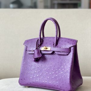 Birkin 25 Ostrich Anemone(P9) Gold Hardware