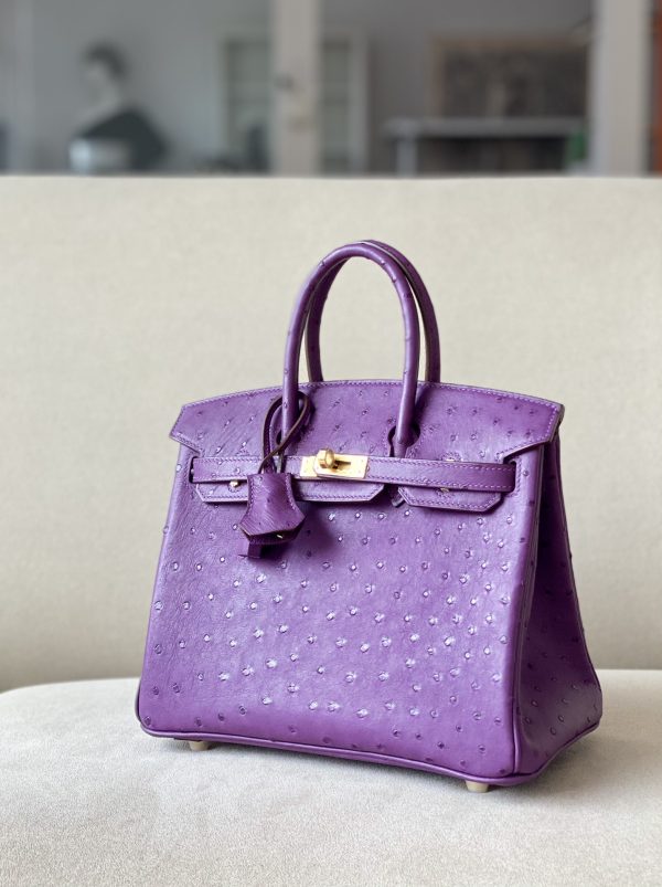 Birkin 25 Ostrich Anemone(P9) Gold Hardware