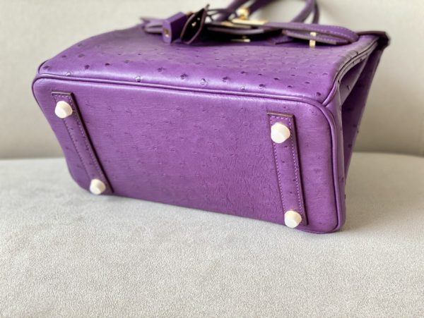 Birkin 25 Ostrich Anemone(P9) Gold Hardware - Image 5