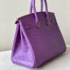 Birkin 25 Ostrich Anemone(P9) Gold Hardware - Image 4