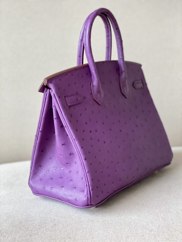 Birkin 25 Ostrich Anemone(P9) Gold Hardware - Image 4