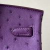 Birkin 25 Ostrich Anemone(P9) Gold Hardware - Image 11