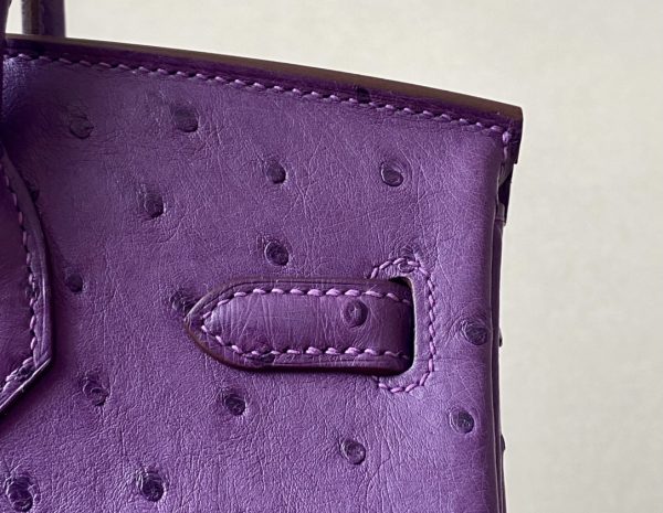 Birkin 25 Ostrich Anemone(P9) Gold Hardware - Image 11