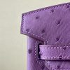 Birkin 25 Ostrich Anemone(P9) Gold Hardware - Image 10