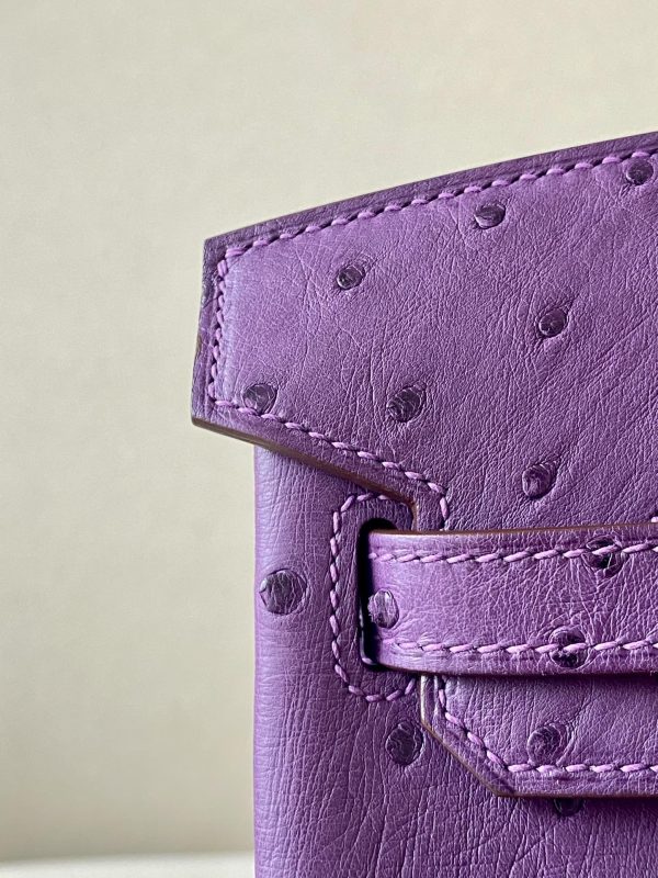 Birkin 25 Ostrich Anemone(P9) Gold Hardware - Image 10
