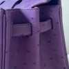 Birkin 25 Ostrich Anemone(P9) Gold Hardware - Image 9