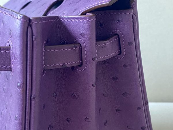 Birkin 25 Ostrich Anemone(P9) Gold Hardware - Image 9