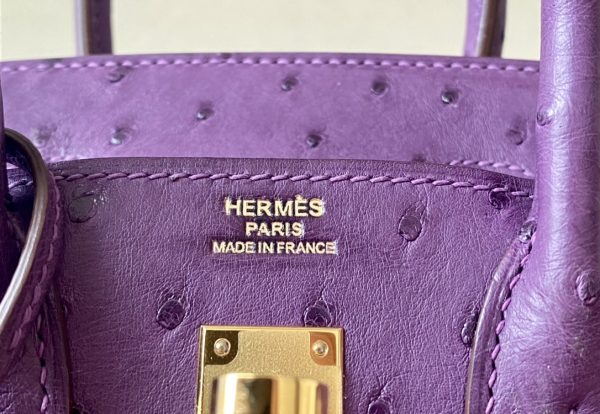 Birkin 25 Ostrich Anemone(P9) Gold Hardware - Image 8