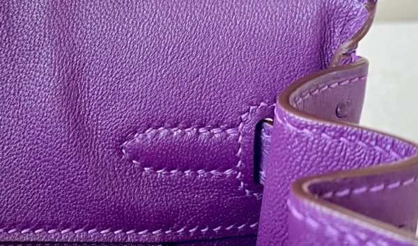 Birkin 25 Ostrich Anemone(P9) Gold Hardware - Image 7