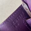 Birkin 25 Ostrich Anemone(P9) Gold Hardware - Image 6