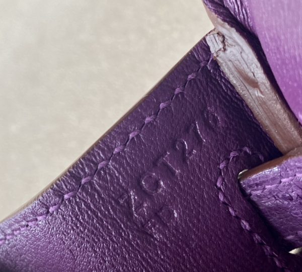 Birkin 25 Ostrich Anemone(P9) Gold Hardware - Image 6