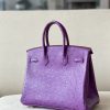 Birkin 25 Ostrich Anemone(P9) Gold Hardware - Image 3