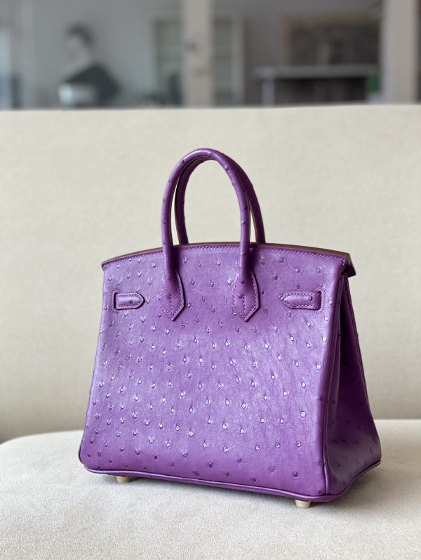 Birkin 25 Ostrich Anemone(P9) Gold Hardware - Image 3
