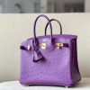 Birkin 25 Ostrich Anemone(P9) Gold Hardware - Image 2