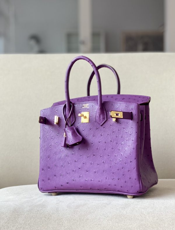 Birkin 25 Ostrich Anemone(P9) Gold Hardware - Image 2