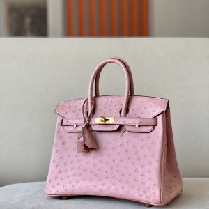 Birkin 25 Ostrich Terre Cuite(94)Gold Hardware