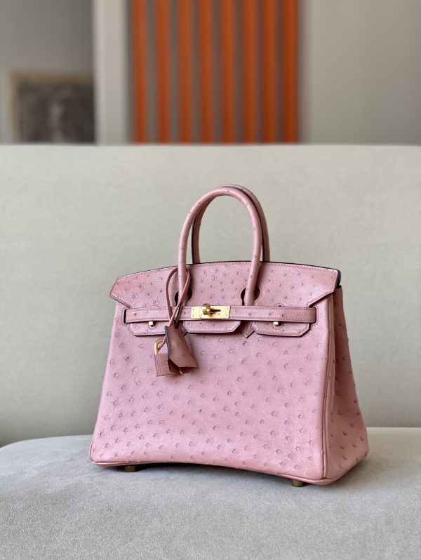 Birkin 25 Ostrich Terre Cuite(94)Gold Hardware
