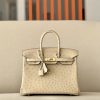 Birkin 25 Ostrich Trench(S2)Gold Hardware
